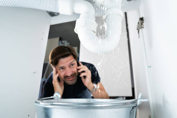 Best Plumbing Services Near Me  in Peoria, IL